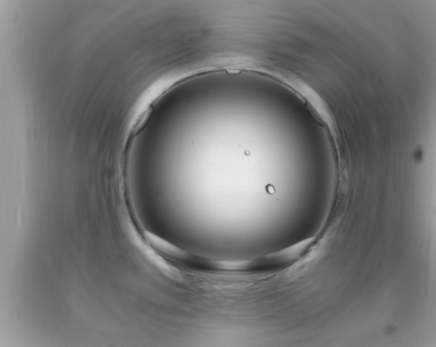 X0000093751389200710231223