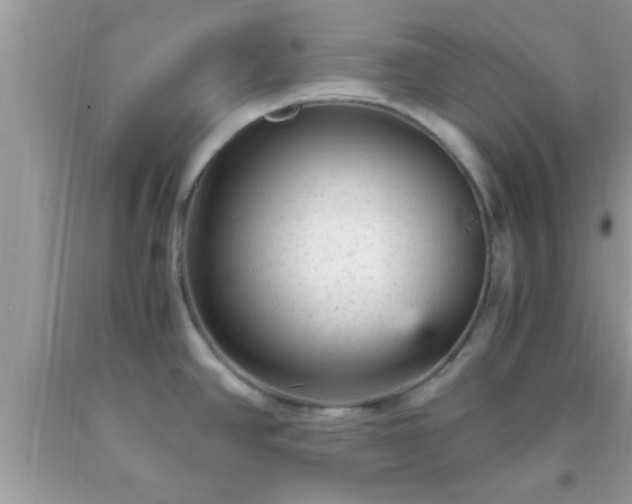 X0000093751390200710231223