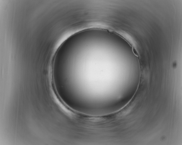 X0000093751391200710231223