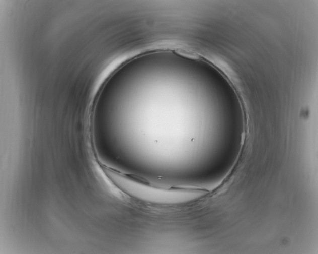 X0000093751392200710231223