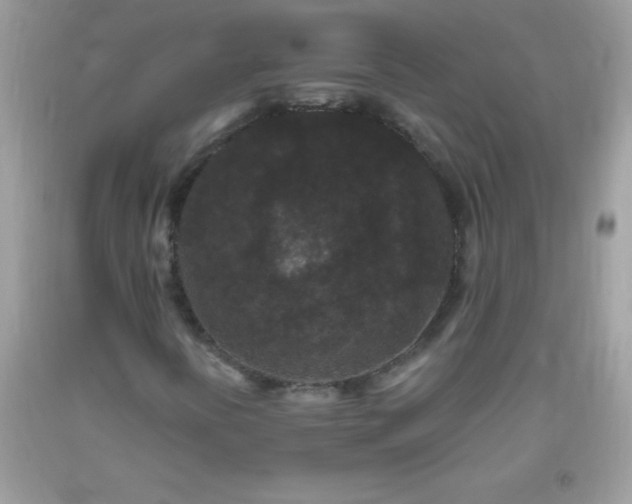 X0000093751394200710231223