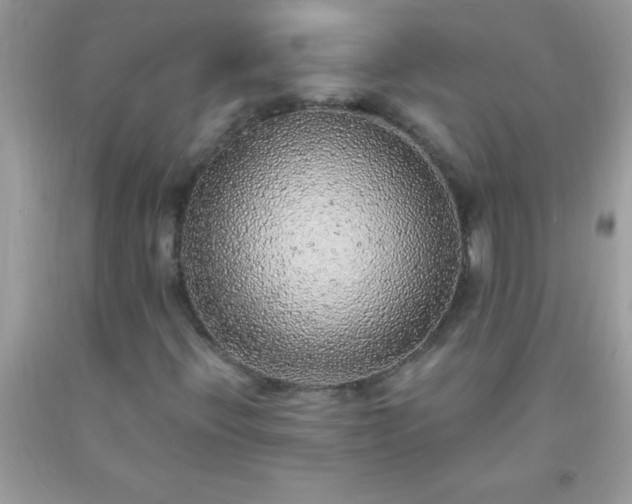 X0000093751396200710231223