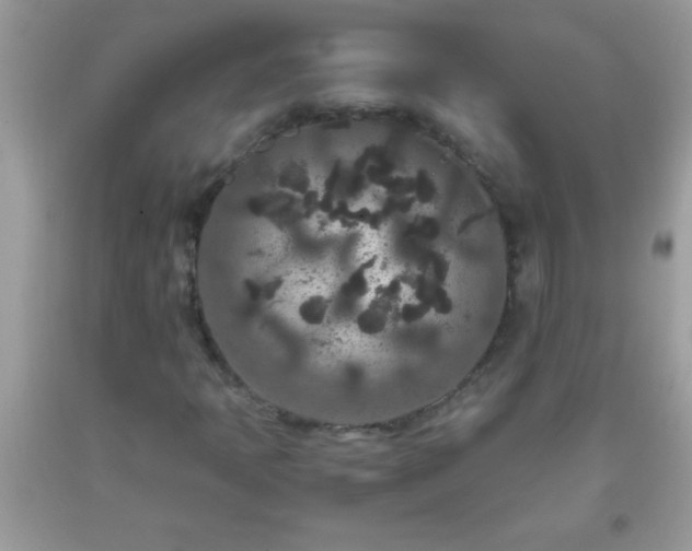 X0000093751397200710231223