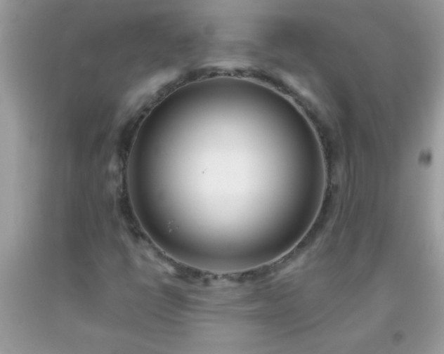X0000093751398200710231223