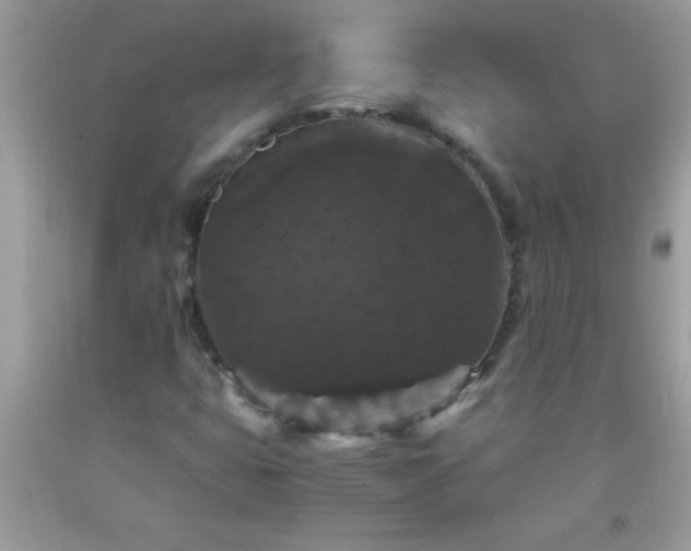 X0000093751399200710231223