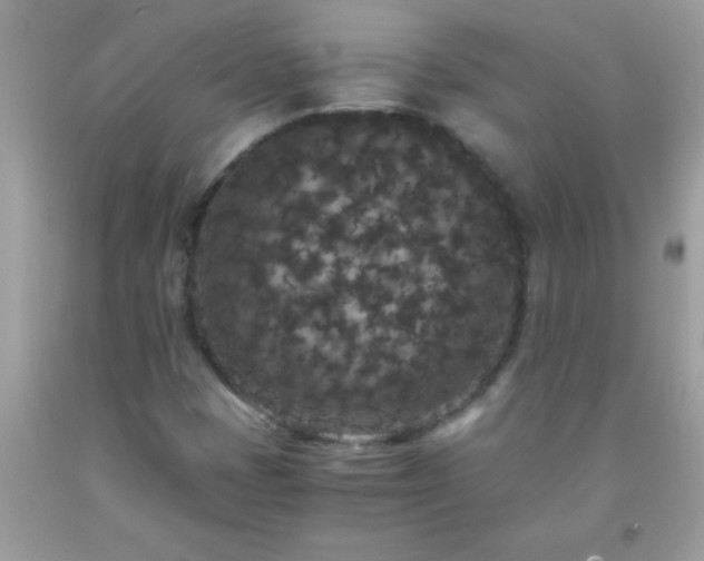 X0000093751401200710231223