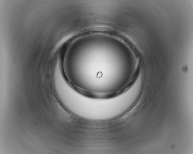 X0000093751402200710231223