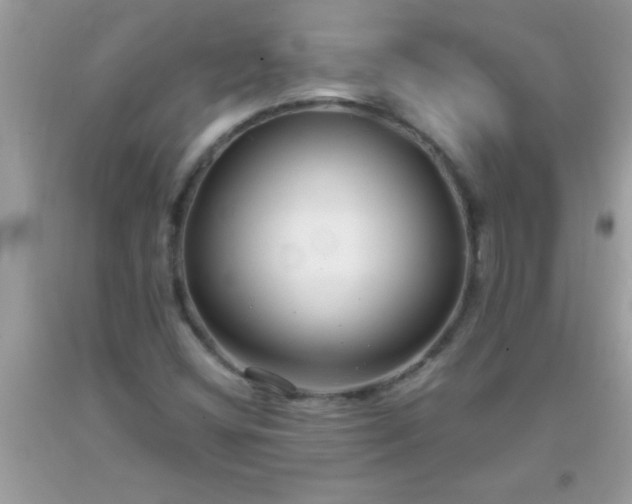 X0000093751404200710231223