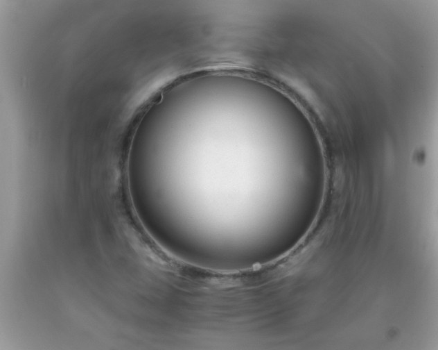 X0000093751407200710231223