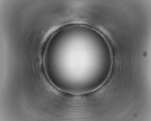 X0000093751408200710231223
