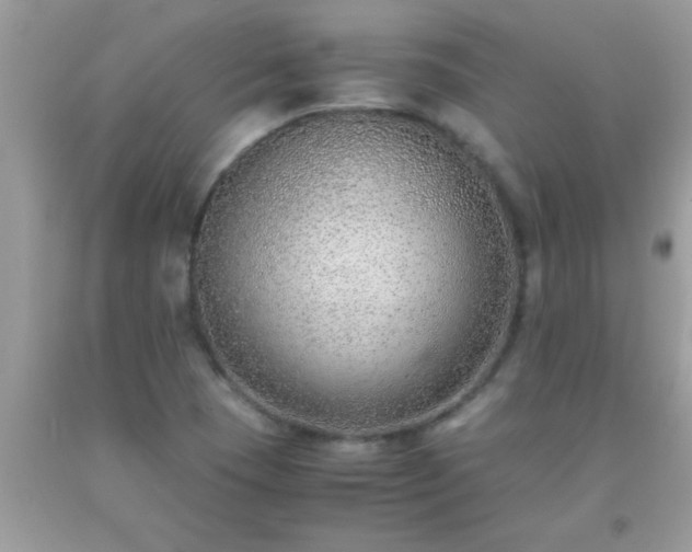 X0000093751409200710231223