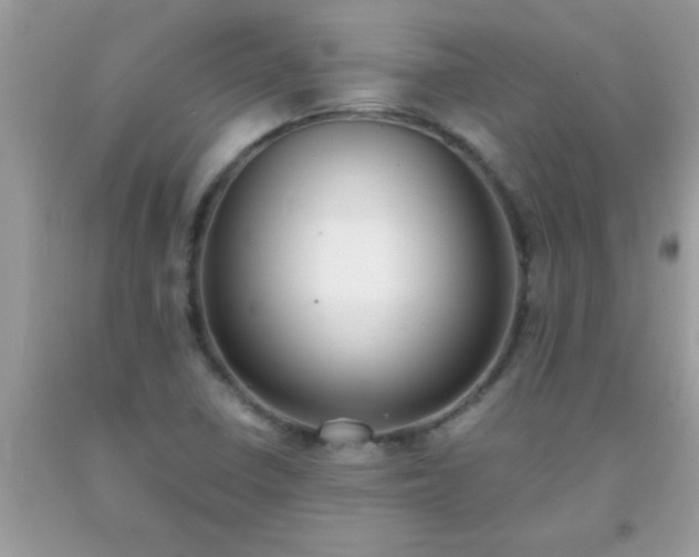 X0000093751410200710231223