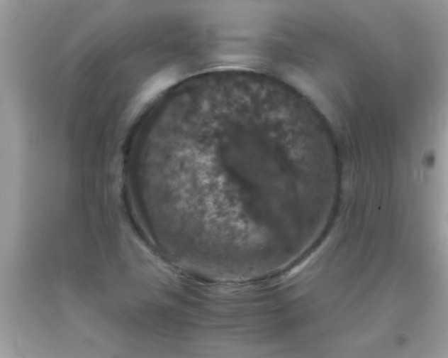 X0000093751411200710231223
