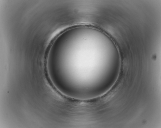 X0000093751412200710231223