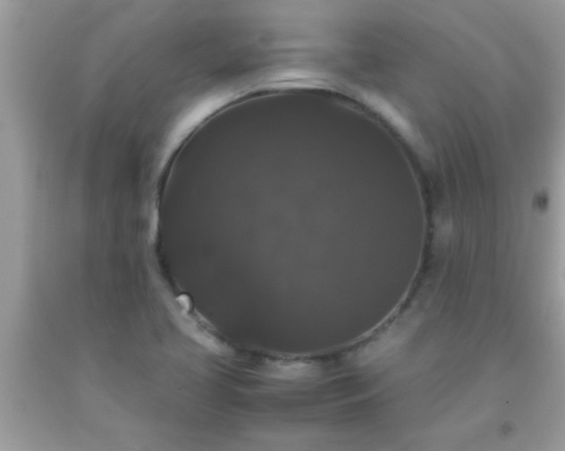 X0000093751413200710231223