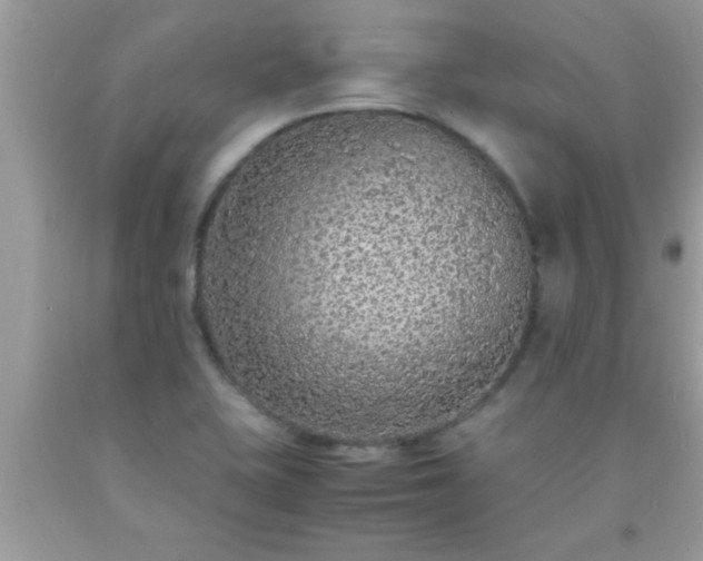 X0000093751415200710231223