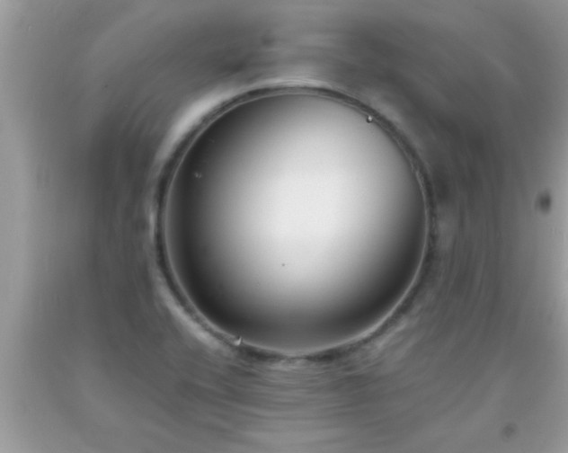 X0000093751416200710231223