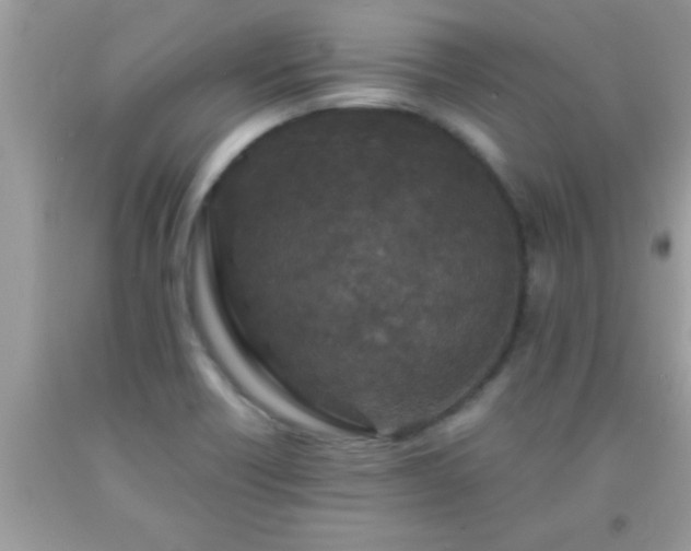 X0000093751418200710231223