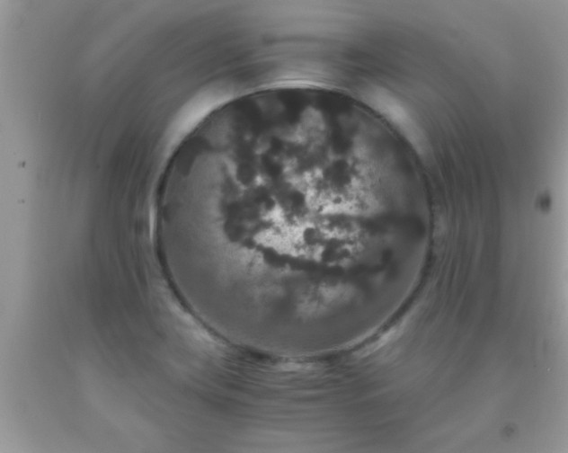 X0000093751419200710231223