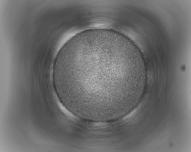 X0000093751421200710231223