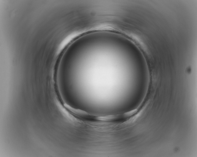 X0000093751422200710231223