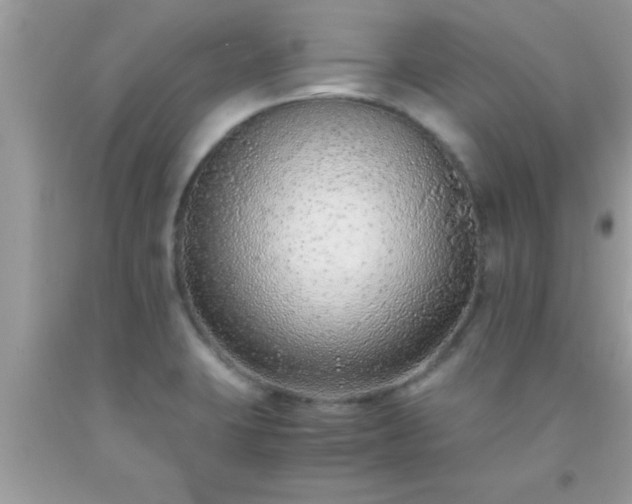 X0000093751423200710231223