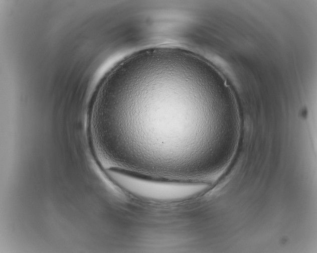 X0000093751424200710231223
