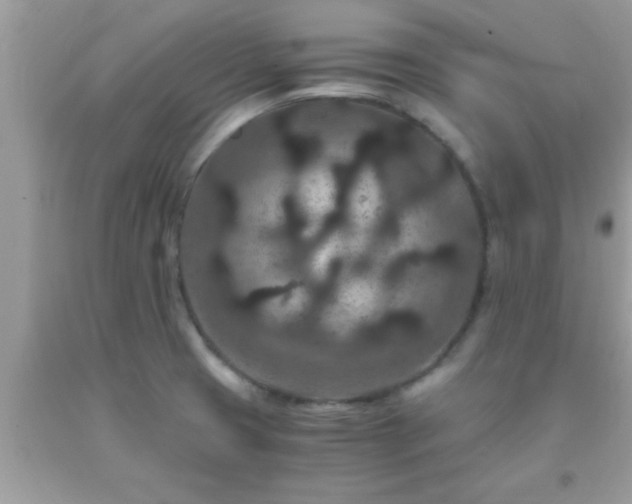 X0000093751425200710231223