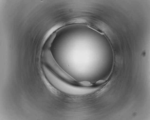 X0000093751426200710231223