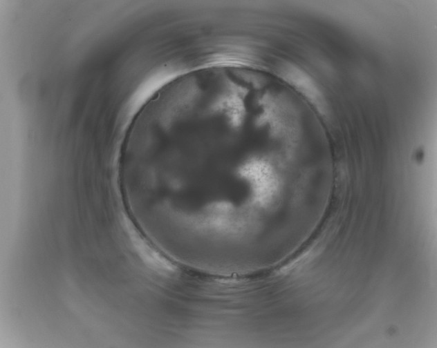 X0000093751427200710231223