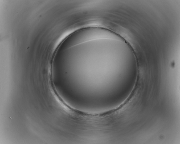 X0000093751428200710231223