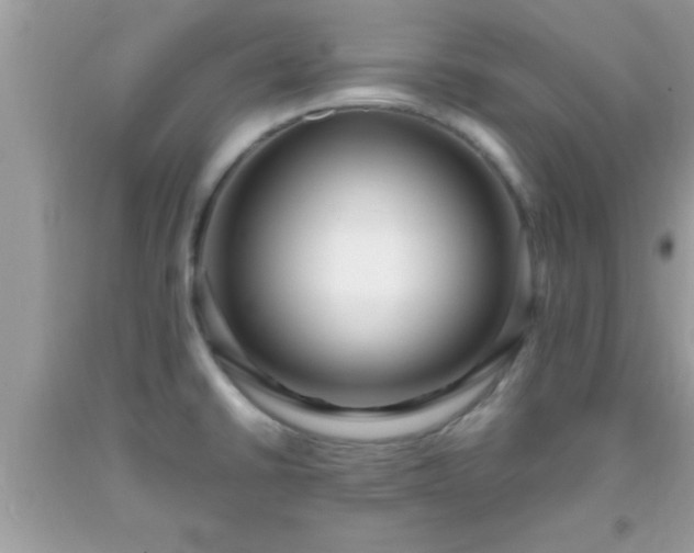 X0000093751430200710231223