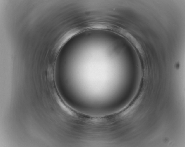 X0000093751433200710231223