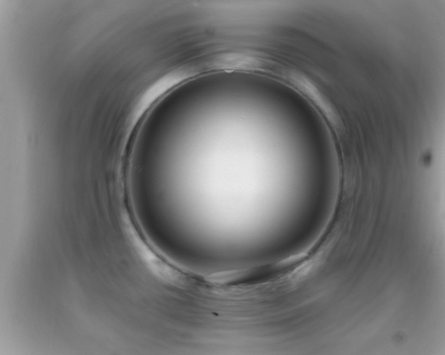 X0000093751434200710231223