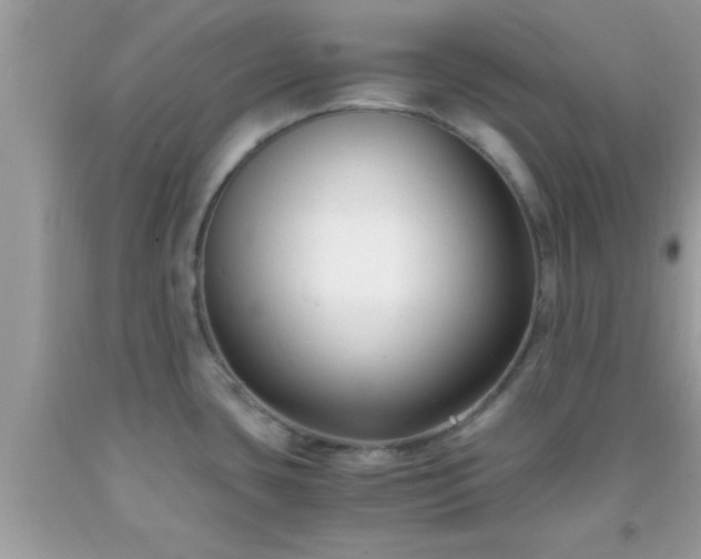X0000093751435200710231223