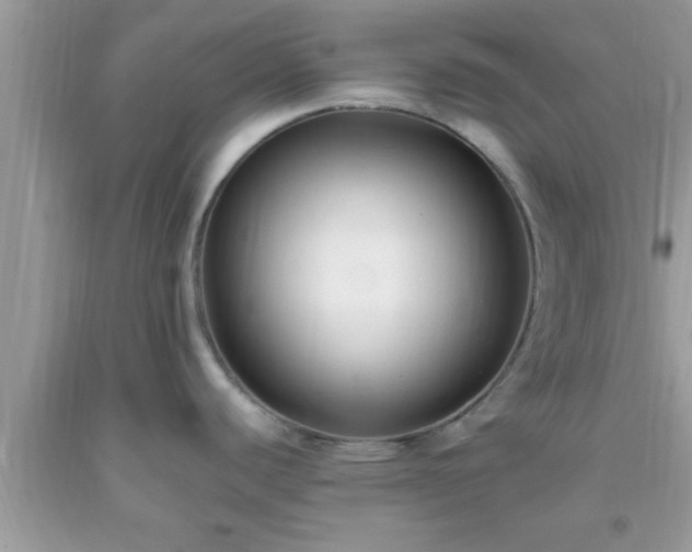 X0000093751440200710231223