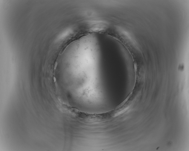 X0000093751441200710231223