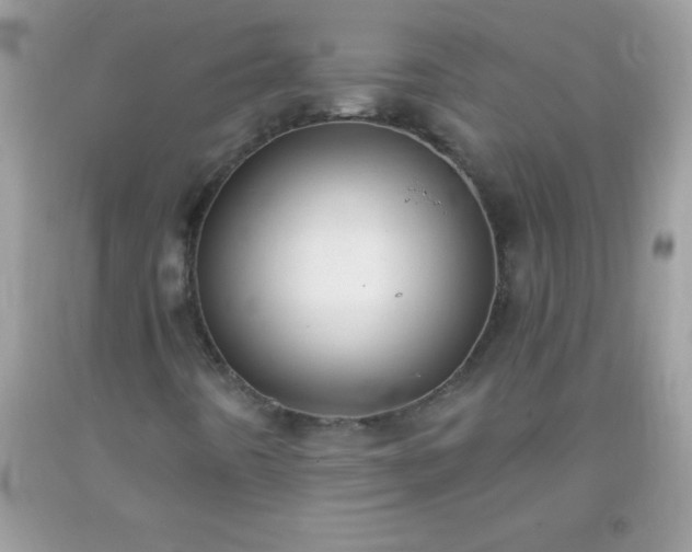 X0000093751442200710231223