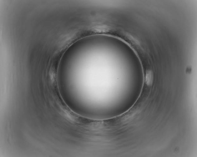 X0000093751444200710231223