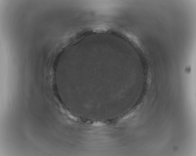 X0000093751445200710231222