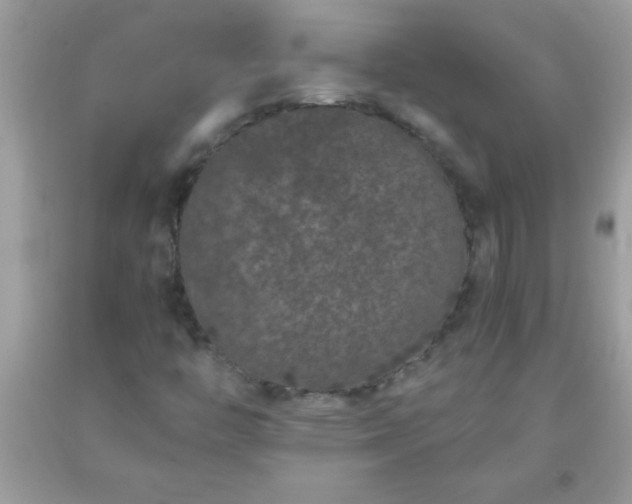 X0000093751446200710231222