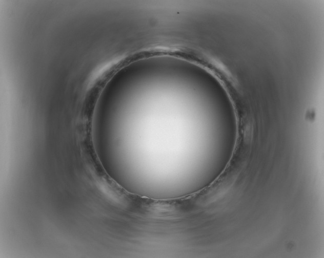 X0000093751448200710231222