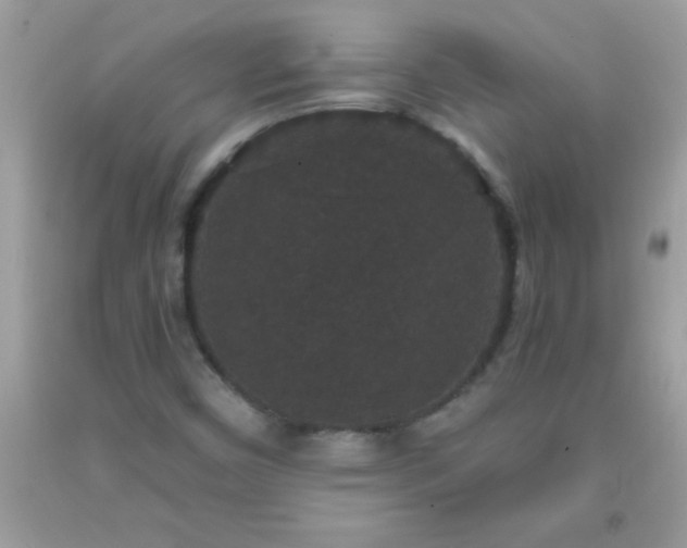 X0000093751450200710231222