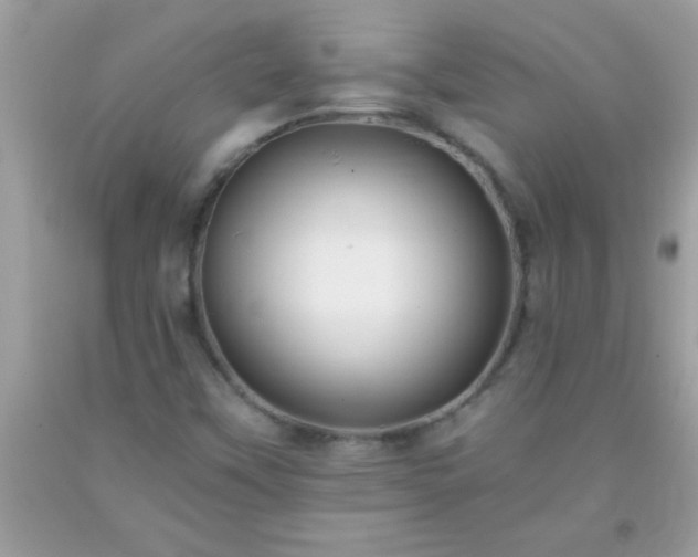 X0000093751451200710231222