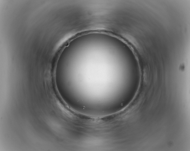 X0000093751452200710231222