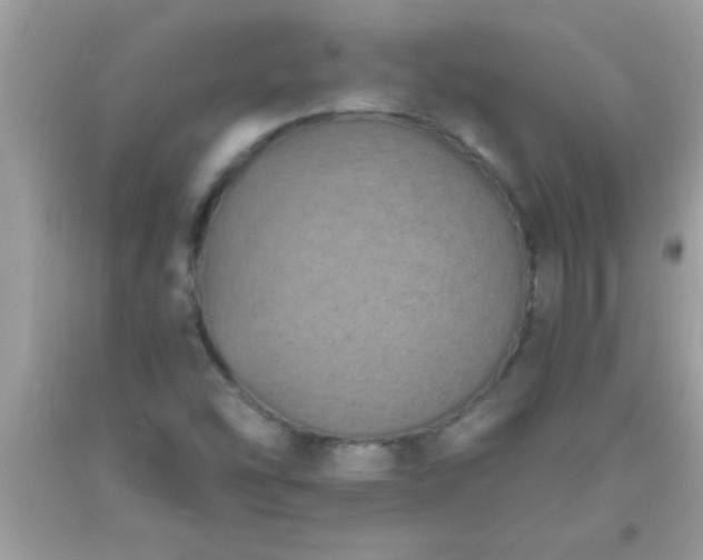 X0000093751454200710231222