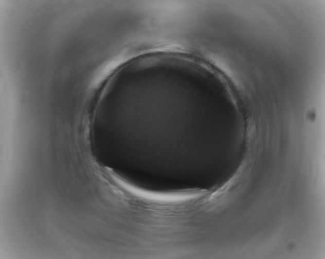 X0000093751455200710231222