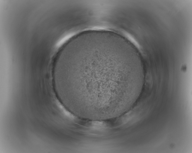 X0000093751456200710231222