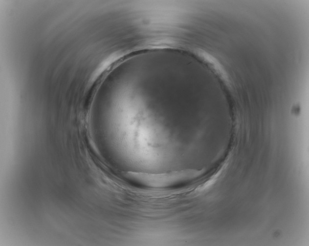 X0000093751457200710231222