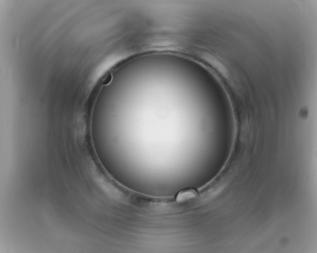 X0000093751458200710231222